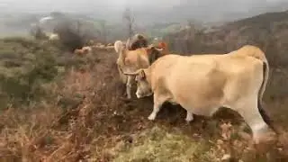 👉Movemos para los cuarteles de invierno que viene nevando , con una mojadura de órdago 😡