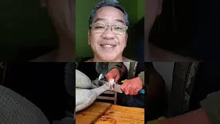 Cooking a Whole Ostrich - ASMR Nature Cooking. #travel #shorts #ostrich