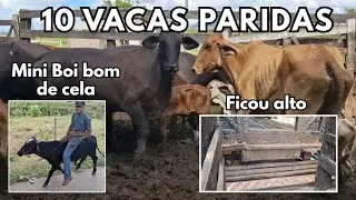 EMBARQUE FICOU ALTO!😱😱