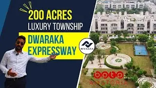 The SHOCKING Truth - Amstoria Township's Secret Amenities