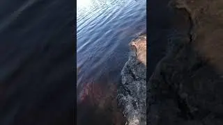 Diffraction/Interference reflected off @ Rocks Boundary Waters