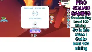 Overlook Bay I reach to level 100 Mining
