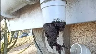 Gutter Cleaning and Downpipe Unblocking