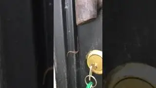 Millipede climbing into our room in Costa Rica
