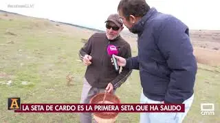 Temporada corta para los buscadores de setas