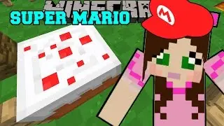 Minecraft: MARIO'S GAINT HOLE OF DOOM - SUPER MARIO BROS - Пользовательская карта [6]