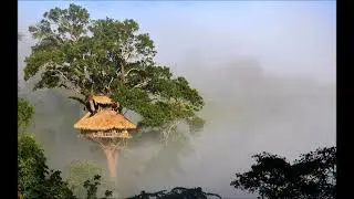 My Grand Treehouse &ndash; Saxophone and Piano (lyrics in description)