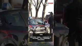 OMICIDIO TARNA, L'AVVOCATO DI SALVAGNO: &laquo;STA PRENDENDO COSCIENZA&raquo; | 12/01/2026