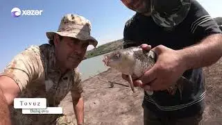 Çöl Adamı - Tovuz balıq ovu 14.07.2019