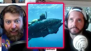 Is Fishing For Bluefin Tuna Ethical?