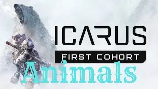 Icarus First Cohort - Animals #Shorts