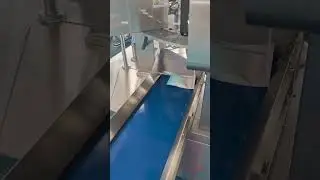 High-Speed Salt Premade Bag Packing Machine | 125g&ndash;250g Precise Doypack Filling & Sealing Line