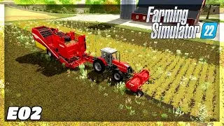 Harvesting Potatoes! | Farming Simulator 22 - Organic Farming Challenge | E02