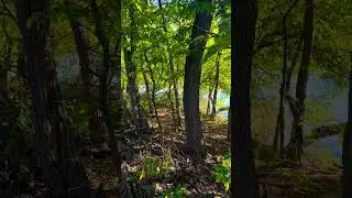 Scioto Audubon Metro Park Columbus Ohio 