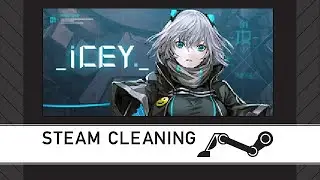 Steam Cleaning - ICEY