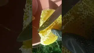 favor de mel amarelo de mel 🍯🐝