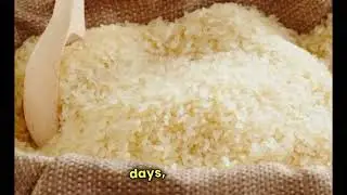 The growth phase of rice (Oryza sativa) can be divided into three main stages
