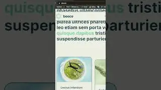 Создание сайта с нуля #new #site #wordpress #free #frelancer #сайт #заработок