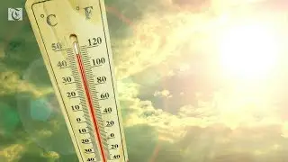 Beat the summer heat in Oman with these essential tips