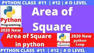 python program : square area | program to find the area of a square | vitaminm
