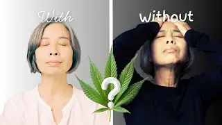 Love your brain? Don&rsquo;t use cannabis without THIS