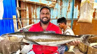 KASIMEDU KUMAR 🤯😱BIG SIZE COBIA FISH CUTTING 🔪VIDEO FISHERMAN ENTERTAINMENT VIDEOS 👍🏻