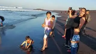 Ballena de gran tama&ntilde;o en playas de champerico. cr&eacute;ditos @chapintv