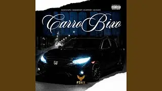 Carro Bixo