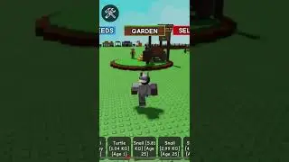 You can get a moon mango seed from the summer update in grow a garden #roblox #gaming #growagarden