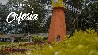 Explore Taman Bunga Celosia  @potraitcelosia