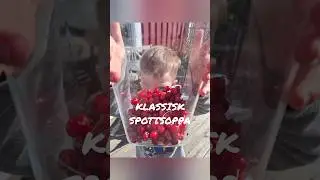 SPOTTSOPPA - klassisk efter&auml;tt av k&ouml;rsb&auml;r!