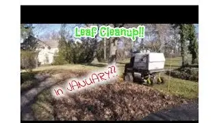 Walker Mower Leaf Clean Up, bagging leaves