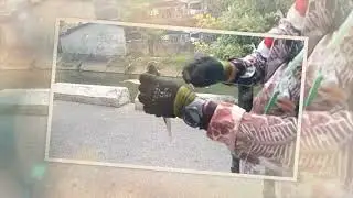 Predators attack the fish we catch