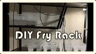 DIY Fry Rack