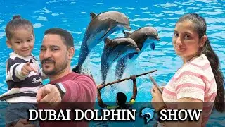 Dubai Dolphin Show Experience || बहुत मजा आया फ़ैमिली के साथ 😁 @SnehaSachdeva.26 