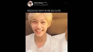 straykids vines that make me 
