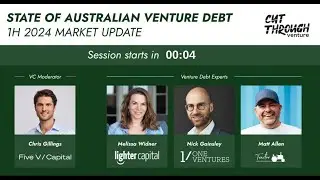 Cut Through Venture State of Venture Debt - 1H 2024