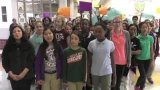STAAR Test Fight Song