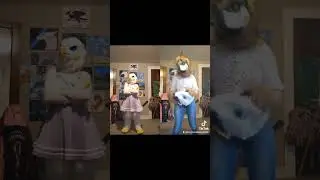 #furries You think it's a bird?
