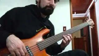 SX SWB 5 FRETLESS
