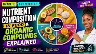 Естествознание, 10 класс: Состав питательных веществ в пищевых продуктах и ​​органические соедине...