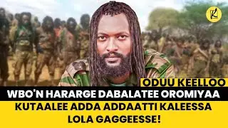 WBO'n Hararge dabalatee Oromiyaa kutaalee adda addaatti kaleessa lola gaggeesse!