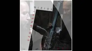 Szałański / Nizioł - Liryczny utw&oacute;r nocny