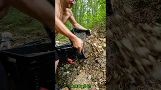 Real Gold Pieces Found! Gold Panning in a Stream