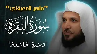 سورة البقرة كاملة بدون إعلانات  لحفظ وتحصين المنزل وطرد الشياطين  الشيخ ماهر المعيقلي