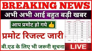 प्रमोशन रिजल्ट जारी 🤗 UNIVERSITY PROMOTE RESULT 2020 | BED EXAM NEWS 2020