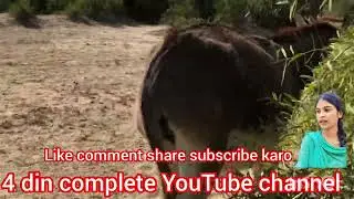four YouTube channel promotion subscribe 