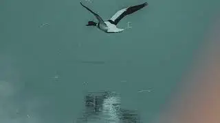 Liquid Memoirs - Regression