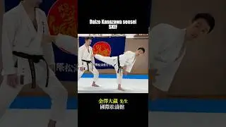 How to Ushiro-geri, Daizo Kanazawa