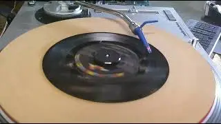 You Are My Sunshine l Ray Charles l 1962 l Scratchy